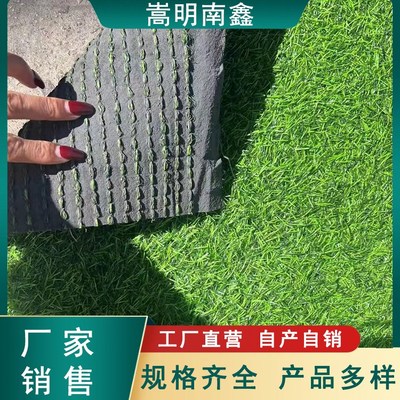 塑料草坪人造草皮户外装饰假草屋顶工地小草围挡