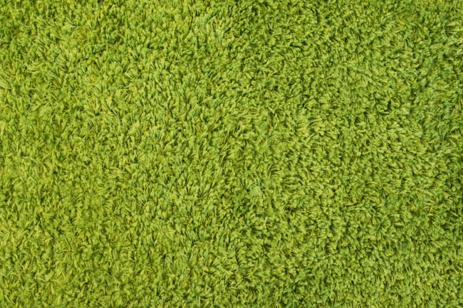 绿色草坪地毯